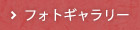 フォトギャラリー