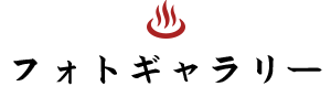 フォトギャラリー